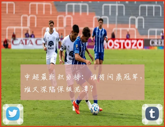 中超最新积分榜:谁将问鼎冠军,谁又深陷保级泥潭?